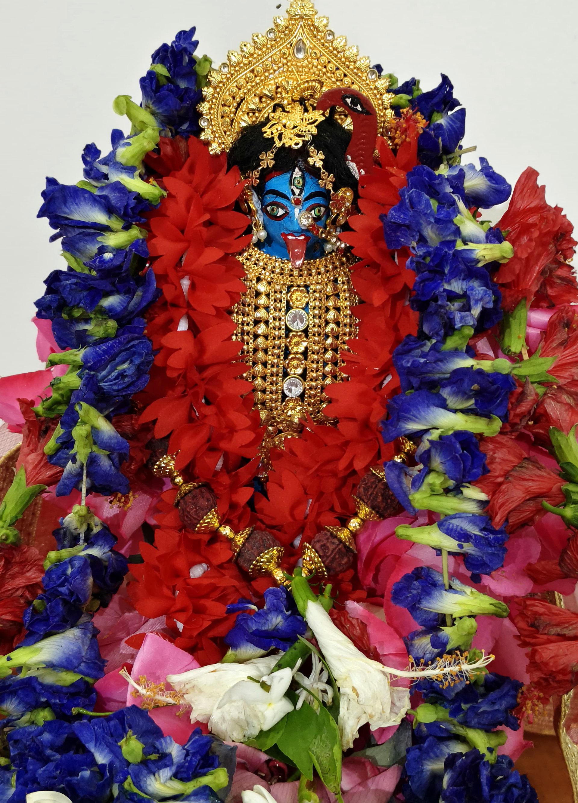 Kali murti framed by aparajita and hibiscus blossoms.