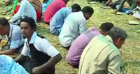 घास पर सामुदायिक भोजन करते वयस्क